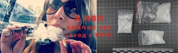 Альфа ПВП Белокуриха