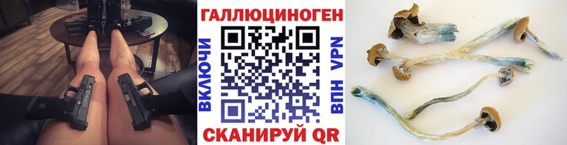 Псилоцибиновые грибы мицелий  сайты даркнета телеграм  Вытегра 